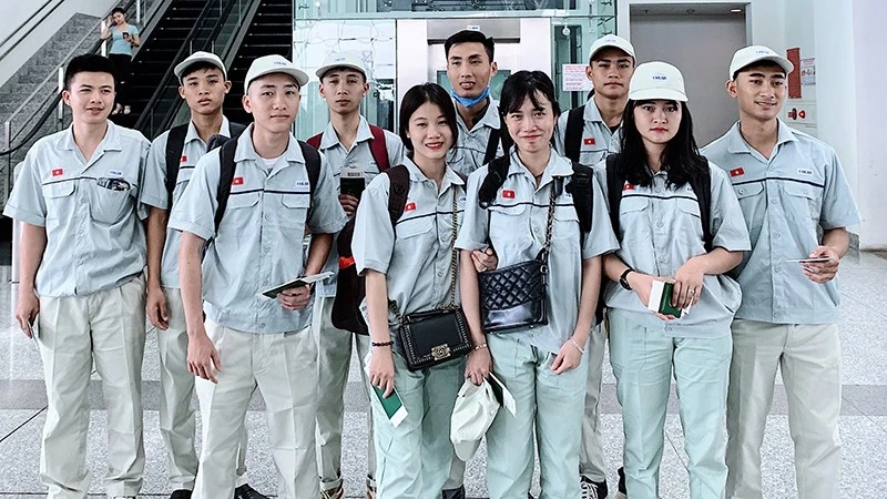 Chính sách mới về tăng lương cơ bản và điều chỉnh bảo hiểm tại Đài Loan năm 2026 sẽ ảnh hưởng đến lao động Việt Nam.